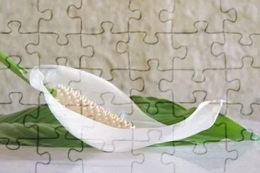 Imagem jigsaw puzzle