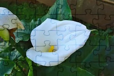 OK jigsaw puzzle