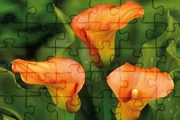 OK jigsaw puzzle