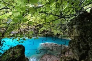 Imagem jigsaw puzzle