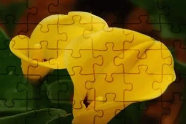 OK jigsaw puzzle