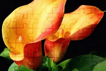 OK jigsaw puzzle