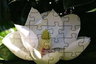flores jigsaw puzzle