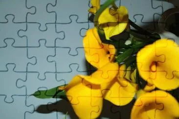 flores