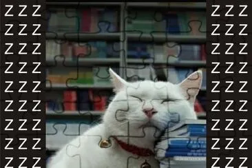 פאזל של å¯æ„›å‹•ç‰©