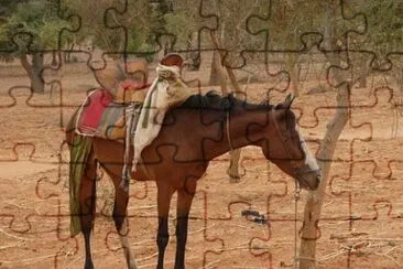 Dongola jigsaw puzzle
