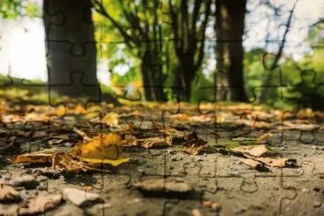 Imagem jigsaw puzzle