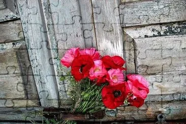 flores