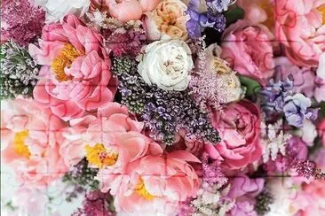 flores