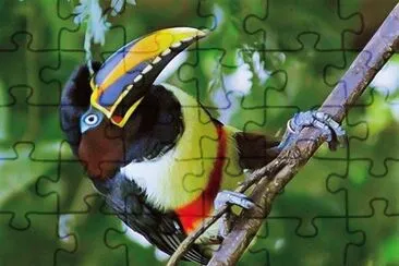 פאזל של natural
