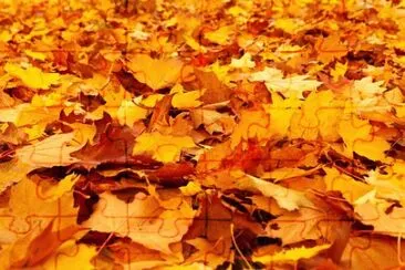 Imagem jigsaw puzzle