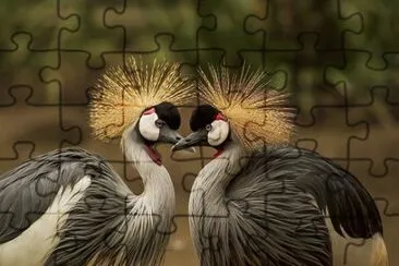 Imagem jigsaw puzzle