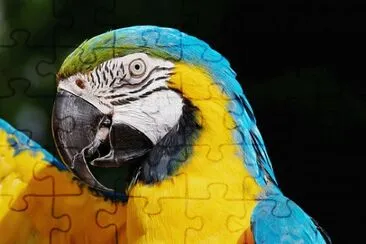 Imagem jigsaw puzzle
