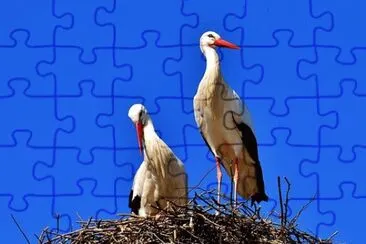 Imagem jigsaw puzzle