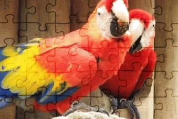 Imagem jigsaw puzzle