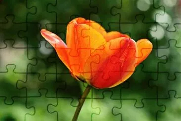 OK jigsaw puzzle
