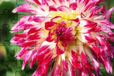 OK jigsaw puzzle