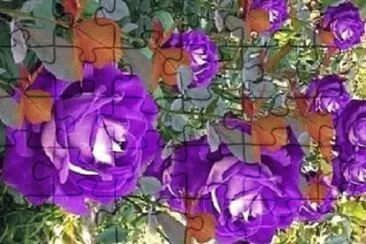 OK jigsaw puzzle