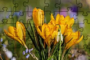 OK jigsaw puzzle