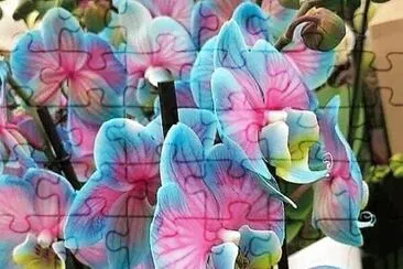 flores jigsaw puzzle