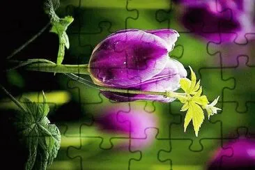 flores jigsaw puzzle