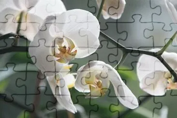 OK jigsaw puzzle
