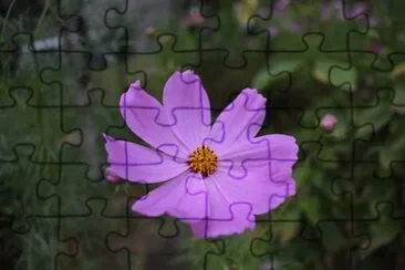 OK jigsaw puzzle