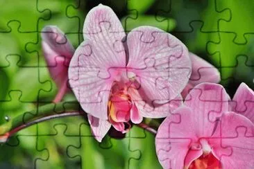 OK jigsaw puzzle