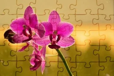 OK jigsaw puzzle