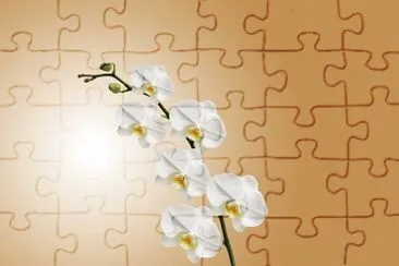 OK jigsaw puzzle