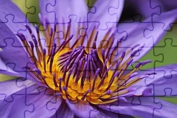 OK jigsaw puzzle