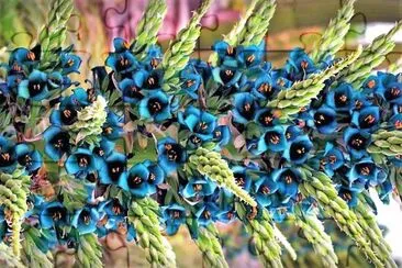 flores jigsaw puzzle