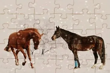 Imagem jigsaw puzzle