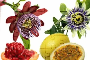 delicia jigsaw puzzle