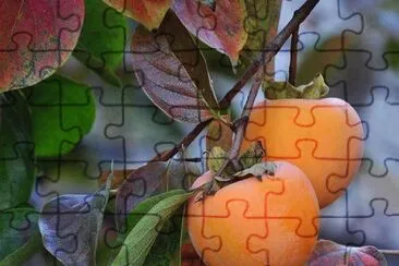 imagem jigsaw puzzle