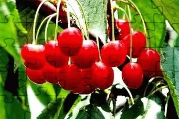 imagem jigsaw puzzle