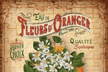 fiori d 'arancio