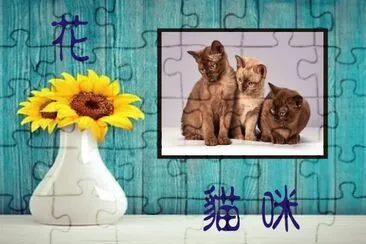 JSPuzzles-åœ–ç‰‡å»Š (çµ„åˆ) jigsaw puzzle