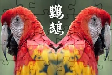 JSPuzzles-åœ–ç‰‡å»Š (å°ç¨±)