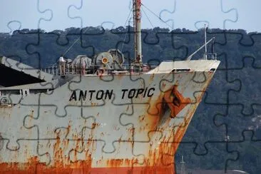anton topic jigsaw puzzle