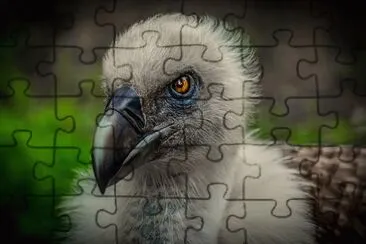 Imagem jigsaw puzzle