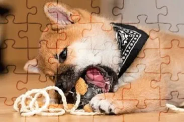 Imagem jigsaw puzzle