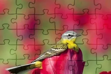 natural jigsaw puzzle