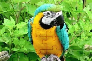 natural jigsaw puzzle