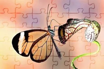 natural jigsaw puzzle