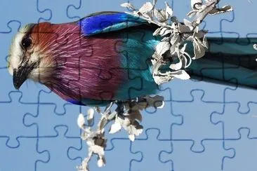 natural jigsaw puzzle