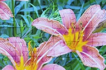 flores