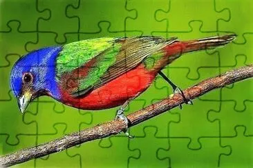 natural jigsaw puzzle