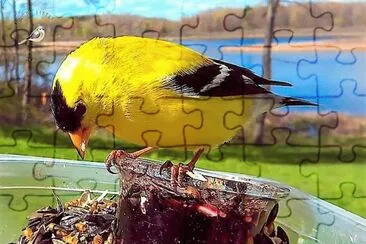 natural jigsaw puzzle