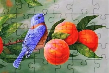 natural jigsaw puzzle